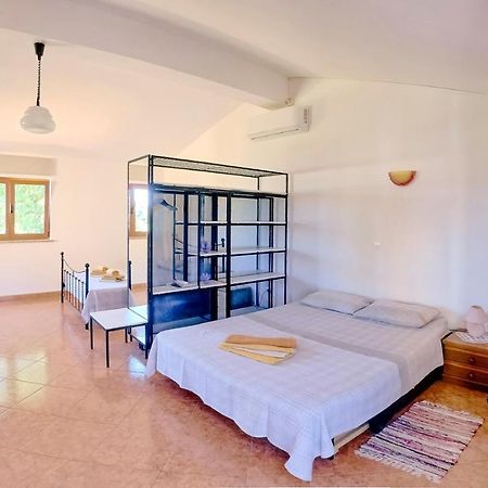 Studio Apartment Gianni ヴィジナダ エクステリア 写真